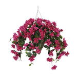 Hanging basket with violet flowers on a white background