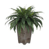 Artificial Fern in Washed Wood Planter - House of Silk Flowers®
 - 1