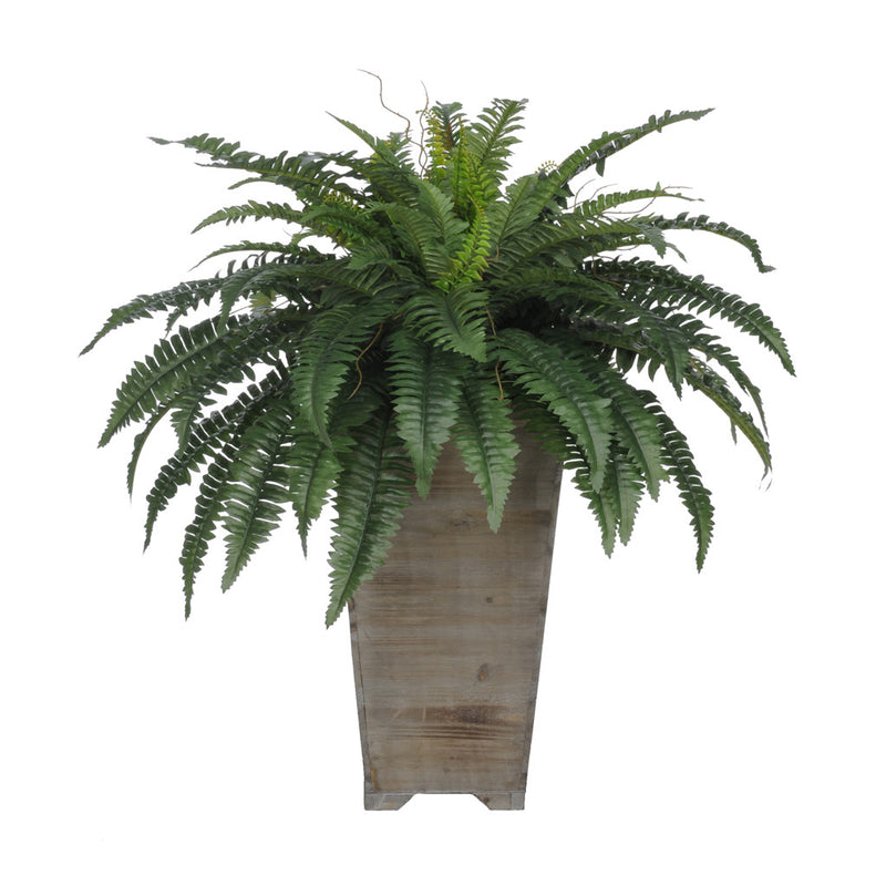 Artificial Fern in Washed Wood Planter - House of Silk Flowers®
 - 2