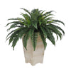 Artificial Fern in Washed Wood Planter - House of Silk Flowers®
 - 3