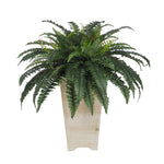 Artificial Fern in Washed Wood Planter - House of Silk Flowers®
 - 4
