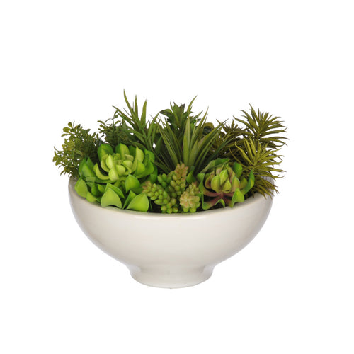 Artificial Succulent Garden in Ceramic Bowl - House of Silk Flowers®
 - 2