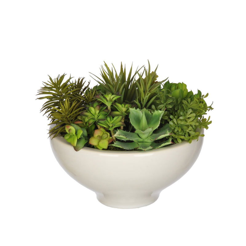 Artificial Succulent Garden in Ceramic Bowl - House of Silk Flowers®
 - 1