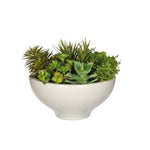 Artificial Succulent Garden in Ceramic Bowl - House of Silk Flowers®
 - 3