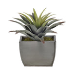 Artificial Star Succulent in Planter - House of Silk Flowers®
 - 2