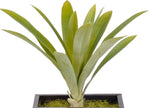 Artificial Yucca Grass in Planter