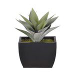 Artificial Frosted Green Succulent in Planter - House of Silk Flowers®
 - 2
