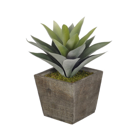 Artificial Frosted Green Succulent in Planter - House of Silk Flowers®
 - 3