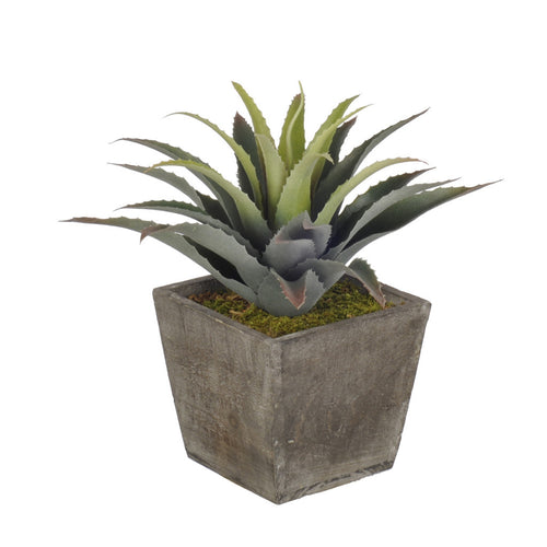 Artificial Star Succulent in Planter - House of Silk Flowers®
 - 3