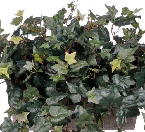 Artificial English Ivy in Ledge