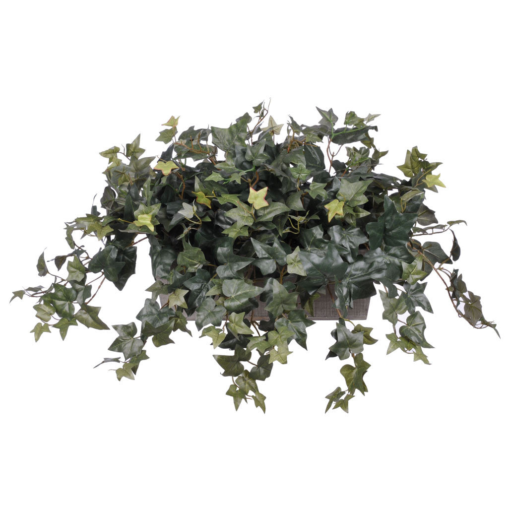 House of Silk Flowers Artificial English Ivy Desk Top Plant in Pot