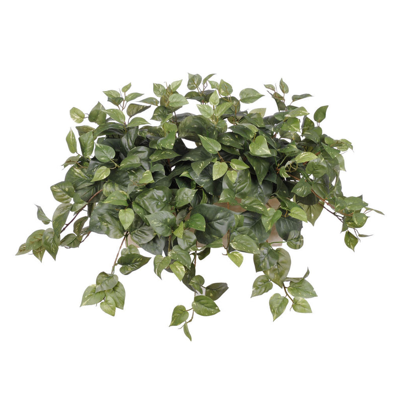 Artificial Pothos in White-Wash Wood Ledge - House of Silk Flowers®
