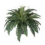Artificial Fern in Washed Wood Ledge