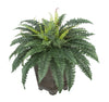 Artificial Fern in Small Washed Wood Planter - House of Silk Flowers®
 - 1