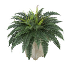 Artificial Fern in Small Washed Wood Planter - House of Silk Flowers®
 - 3