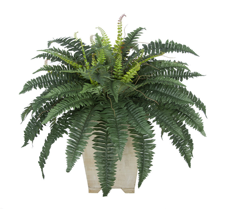Artificial Fern in Small Washed Wood Planter - House of Silk Flowers®
 - 4