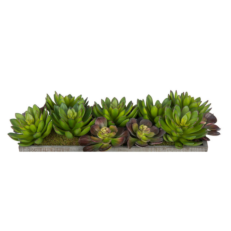 Artificial Succulent Garden in Washed Wood Ledge
