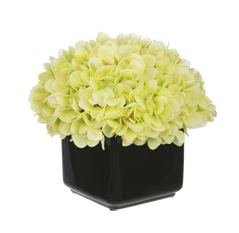 Artificial Hydrangea in Small Black Cube Ceramic - House of Silk Flowers®
 - 9