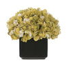 Artificial Hydrangea in Small Black Cube Ceramic - House of Silk Flowers®
 - 14