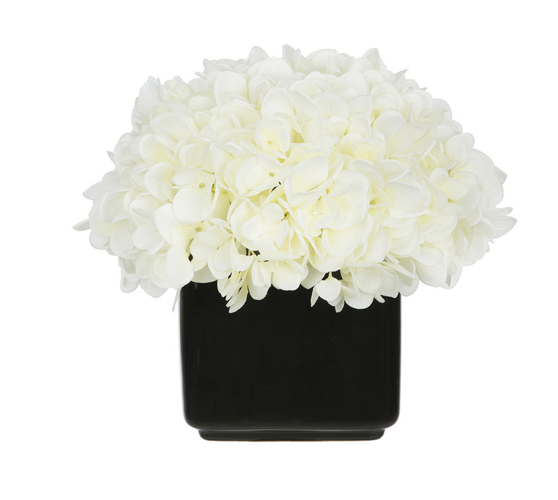 Artificial Hydrangea in Small Black Cube Ceramic - House of Silk Flowers®
 - 6