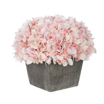 Pink hydrangeas in a wooden box on a white background