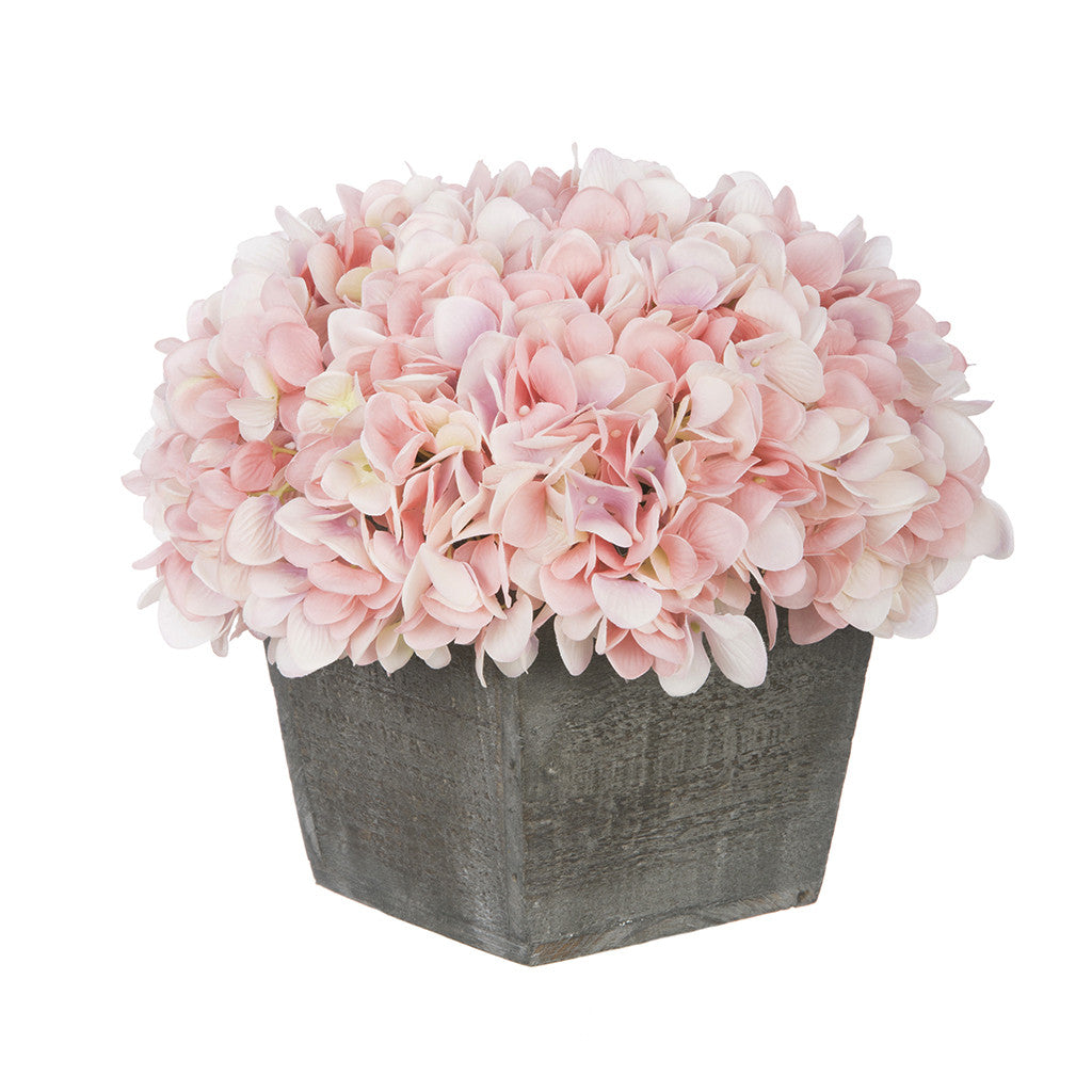 Pink hydrangeas in a wooden box on a white background
