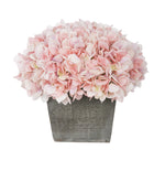 Pink hydrangeas in a wooden box on a white background