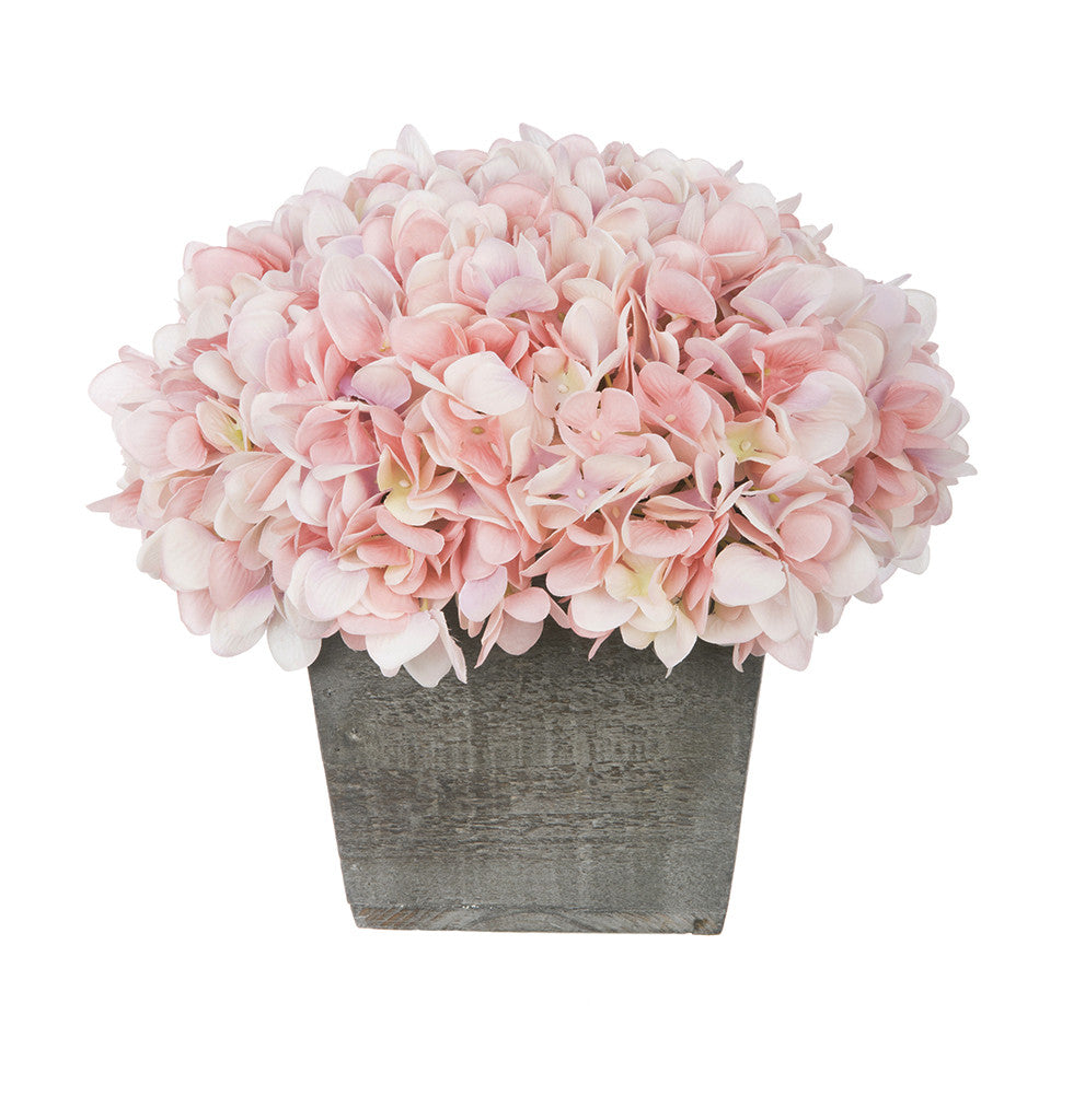 Pink hydrangeas in a wooden box on a white background
