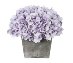 Purple flowers in a wooden box on a white background