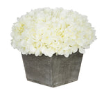 White hydrangeas in a wooden box on a white background