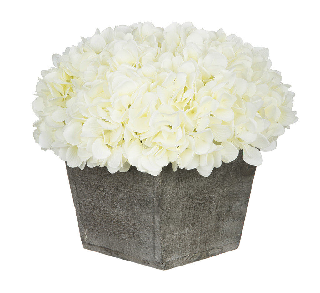 White hydrangeas in a wooden box on a white background