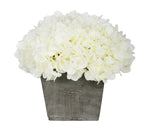 White hydrangeas in a wooden box on a white background