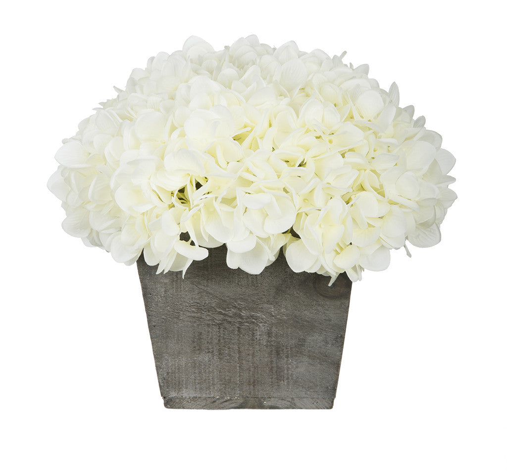 White hydrangeas in a wooden box on a white background