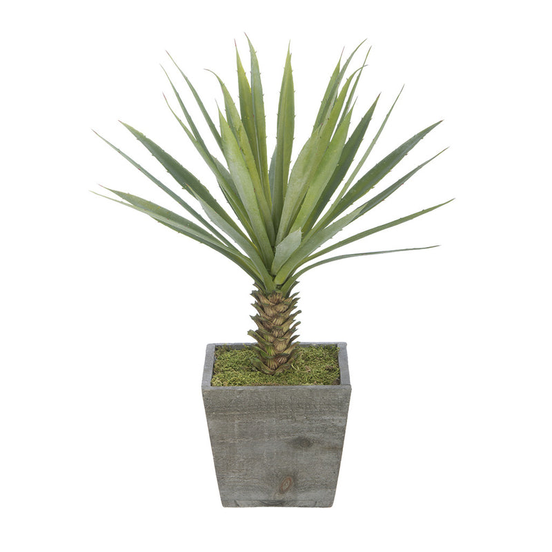 Baby Yucca in Washed Wood Cube House of Silk Flowers®