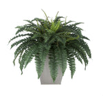 Artificial Fern in Square Zinc Planter - House of Silk Flowers®
 - 5