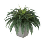 Artificial Fern in Square Zinc Planter - House of Silk Flowers®
 - 6