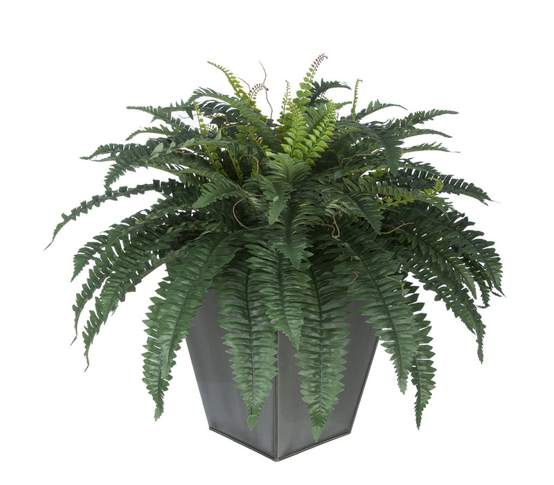 Artificial Fern in Square Zinc Planter - House of Silk Flowers®
 - 10