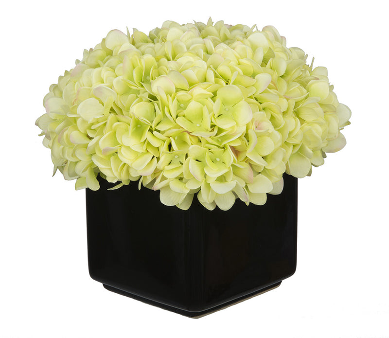 Artificial Hydrangea in Large Black Cube Ceramic - House of Silk Flowers®
 - 9