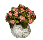 Artificial Kalanchoe in Distressed Cement Vase - House of Silk Flowers®
 - 3