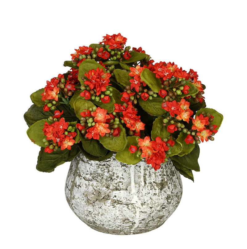 Artificial Kalanchoe in Distressed Cement Vase - House of Silk Flowers®
 - 5