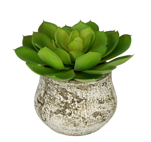 Artificial Echevaria Succulent in Distressed Cement Vase - House of Silk Flowers®

