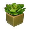 Artificial Echevaria Succulent in Olive Green Ceramic Vase - House of Silk Flowers®
 - 1