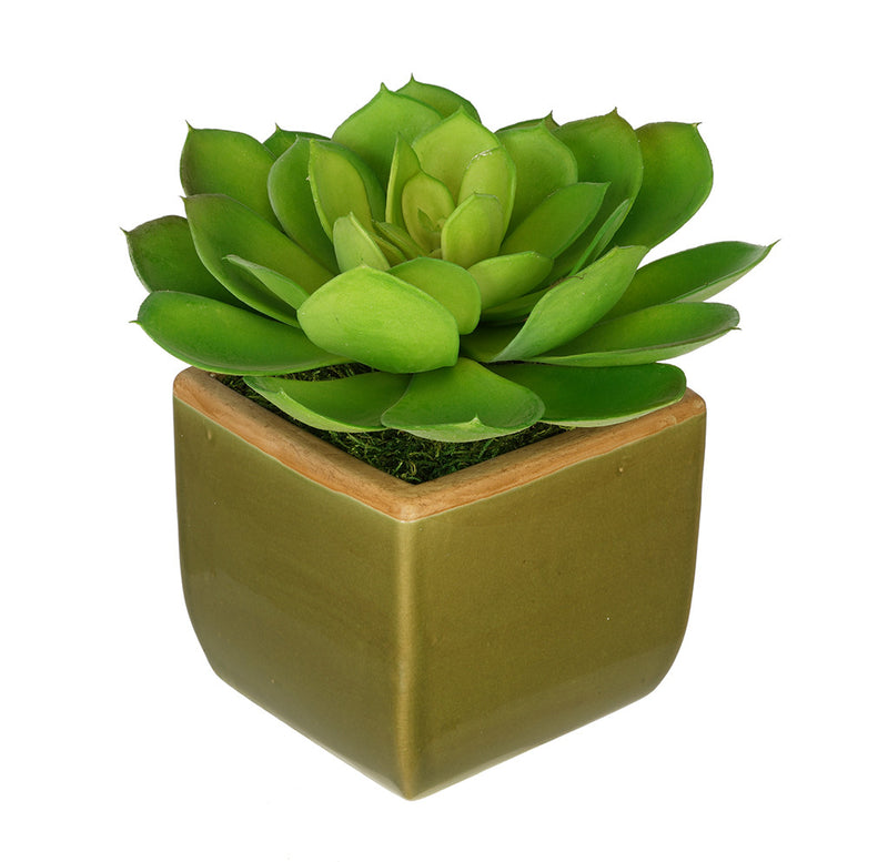 Artificial Echevaria Succulent in Olive Green Ceramic Vase - House of Silk Flowers®
 - 1