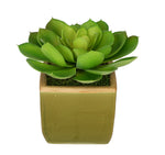 Artificial Echevaria Succulent in Olive Green Ceramic Vase - House of Silk Flowers®
 - 2