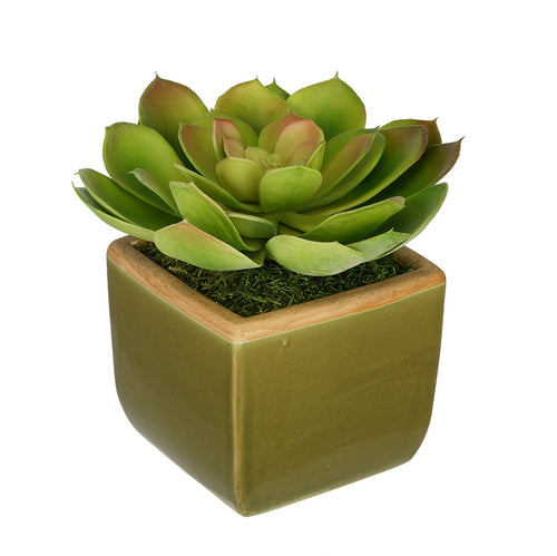 Artificial Echevaria Succulent in Olive Green Ceramic Vase - House of Silk Flowers®
 - 3