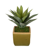 Artificial Succulent in Olive Green Ceramic Vase - House of Silk Flowers®
 - 2