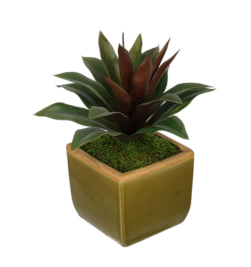 Artificial Succulent in Olive Green Ceramic Vase - House of Silk Flowers®
 - 3