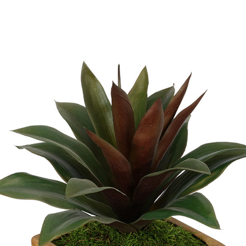 Artificial Succulent in Olive Green Ceramic Vase