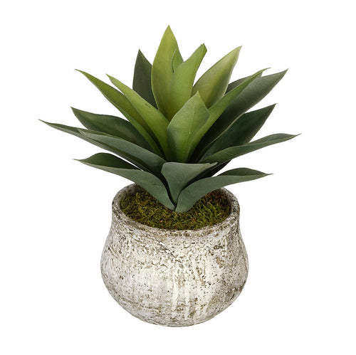 Artificial Succulent in Distressed Cement Vase - House of Silk Flowers®
 - 1