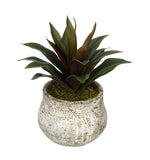 Artificial Succulent in Distressed Cement Vase - House of Silk Flowers®
 - 2